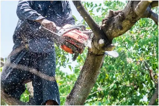 tree services Eagletown